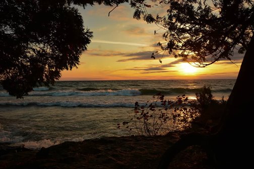 The sun setting over the lake through the trees.