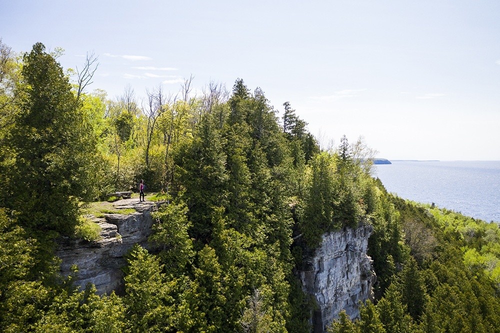 Trees on escarpment overlooking water