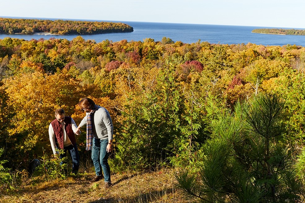 A couple walking on a hill above colorful trees.