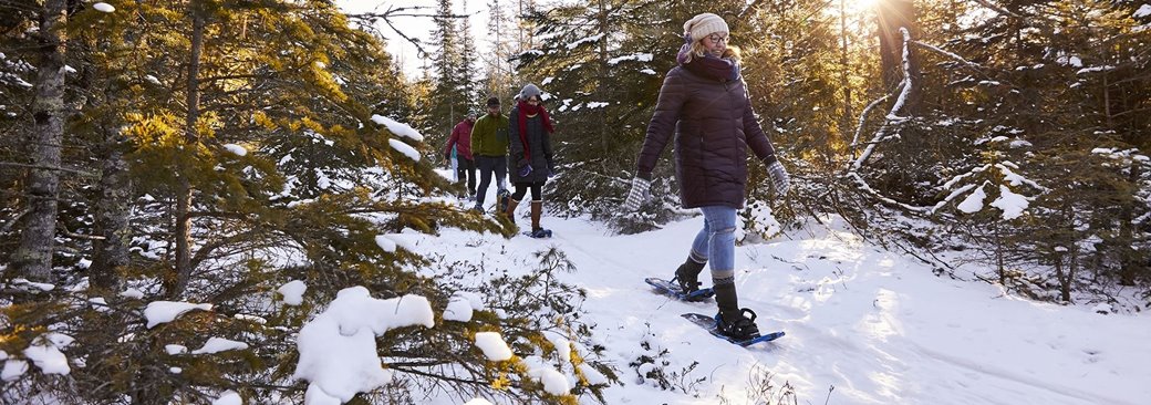 A group of snowshoers coming out of the woods.