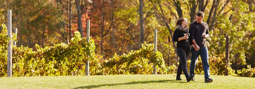 Couple walking and drinking wine at a vineyard.