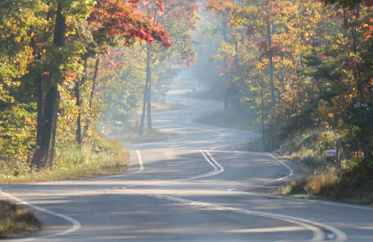 A winding road through trees that are changing colors.