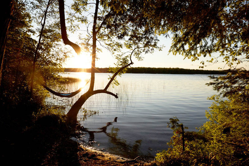 Sunset over a small lake at Newport.