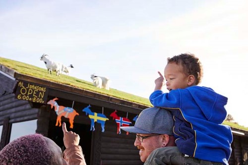 A young boy sits on his dad's shoulders, laughing and pointing at the goats on the roof at Al Johnson's.