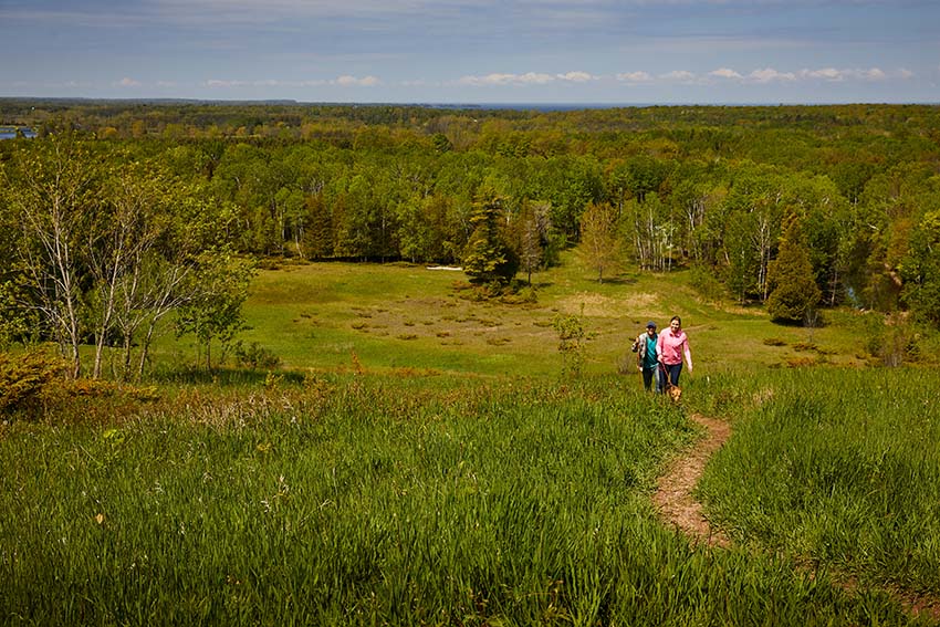 A couple walks their dog up the hill at the state park.