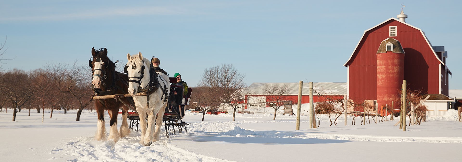 A horse-drawn sleigh in front of a red barn.