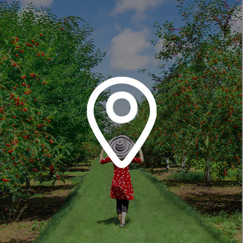 2026 Destination Guide