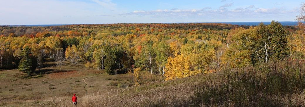 A person hiking through a clearing.