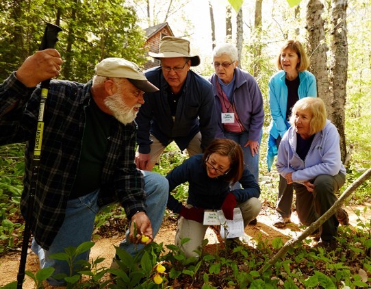 A group of hikers stopped to look at plants along a trail.