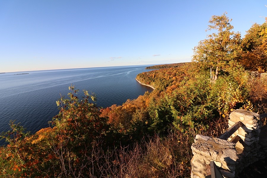 An autumn tree-covered shoreline.