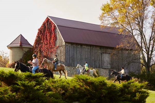 Friends riding horses to Simon Creek winery.