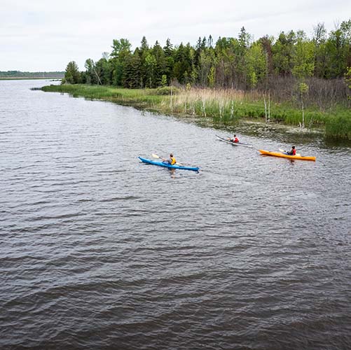 A group of people kayaking