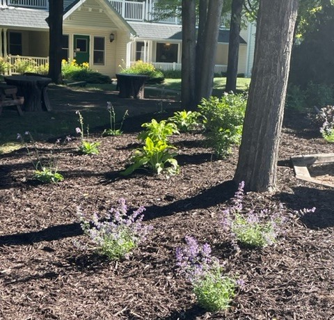 Pheasant Park Resort