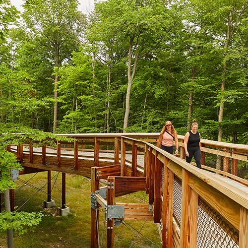 Two women walking along a wooden boardwalk