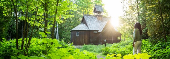 Wooden building in the distance surrounded by trees.