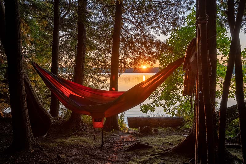 Hammock hanging at a campsite