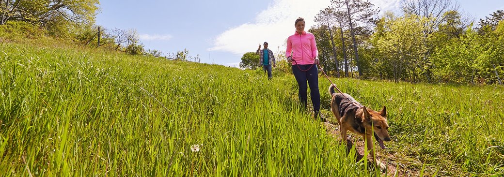 A couple walking their dog down a grassy hill.