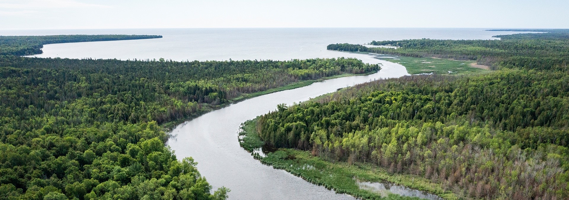 A waterway winding through the trees from above.