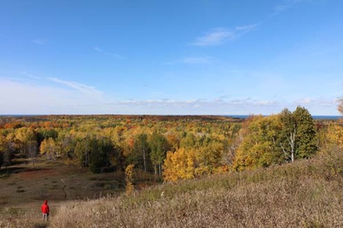 A hiker makes his way down a large hill, toward a fall-color forest.