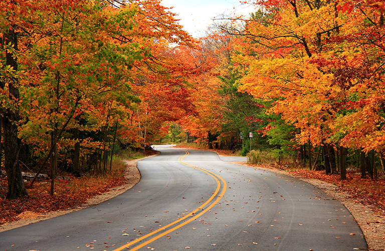 A winding road surrounded by colorful autumn trees.