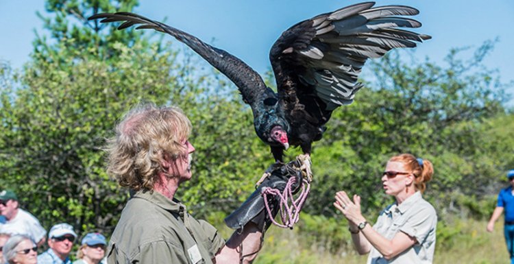 A person holding a bird at the Open Door Bird Sanctuary.