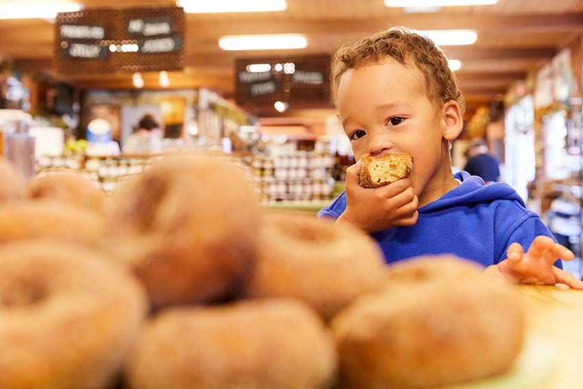 A young boy bites into an apple cider donut beside a pile of donuts.