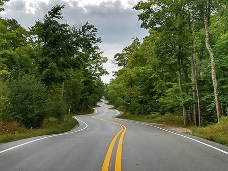 A winding road through the trees.