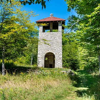 Stone tower surrounded by trees and tall grass