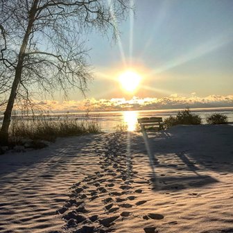 The sun rising over a bench at the edge of the lake.