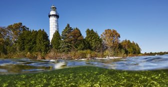 Lighthouse with trees surrounding it