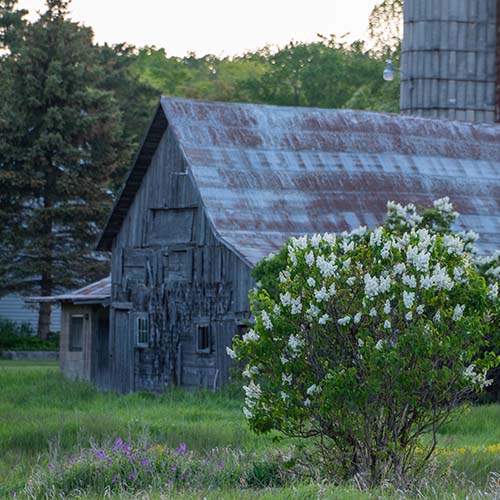 Old wooden barn