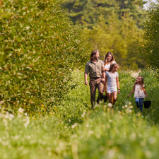 A family cherry picking