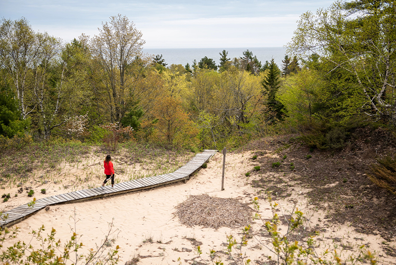 Whitefish Dunes State Park