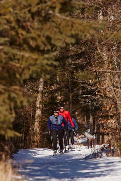 A group of cross county skiers in the woods.