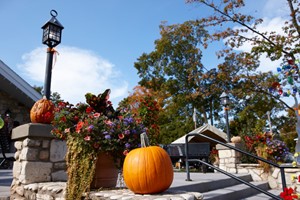 A staircase lined with pumpkins.