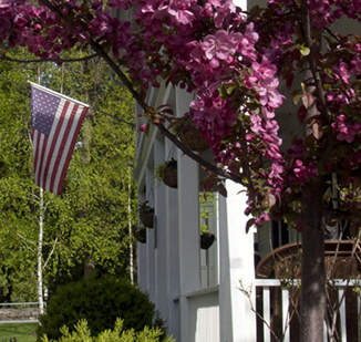 A pink flowering tree in front of a building.