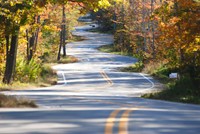 A winding highway through the trees.