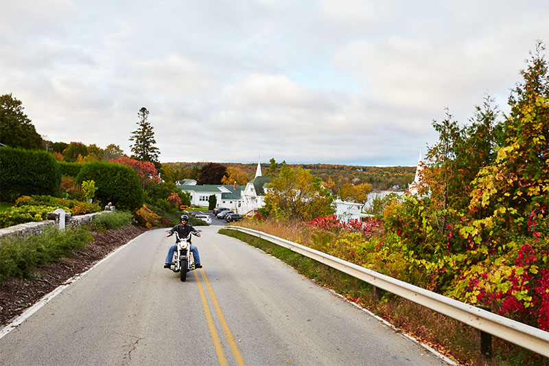 A man rides a motorcycle down a street with fall trees on either side.