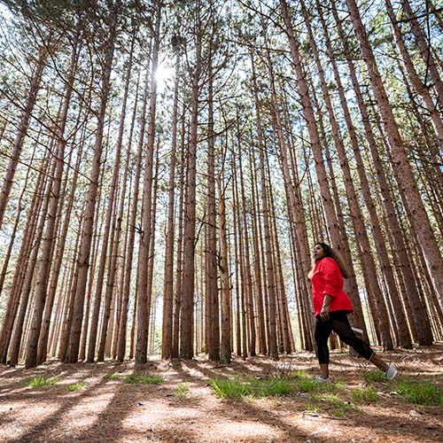 A person walking through the sunlight in the trees