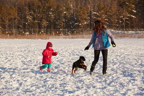 A woman and child play with a dog at a snowy dog park.