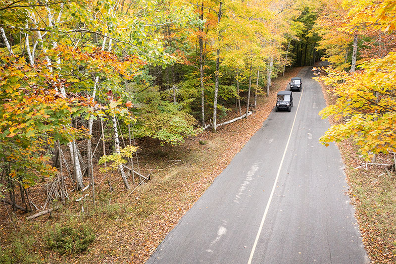 Two vehicles driving down a treelined road with the trees turning colors for fall.