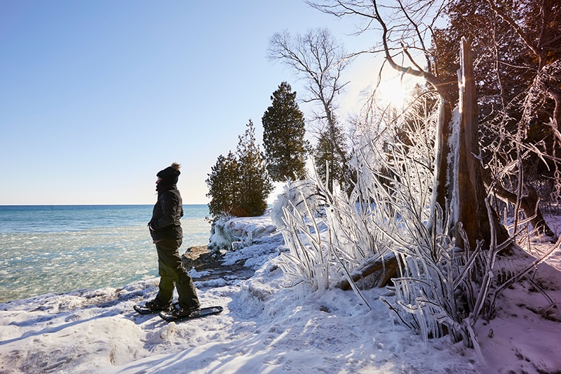 Person snowshoeing near ice-covered trees at the edge of the lake.