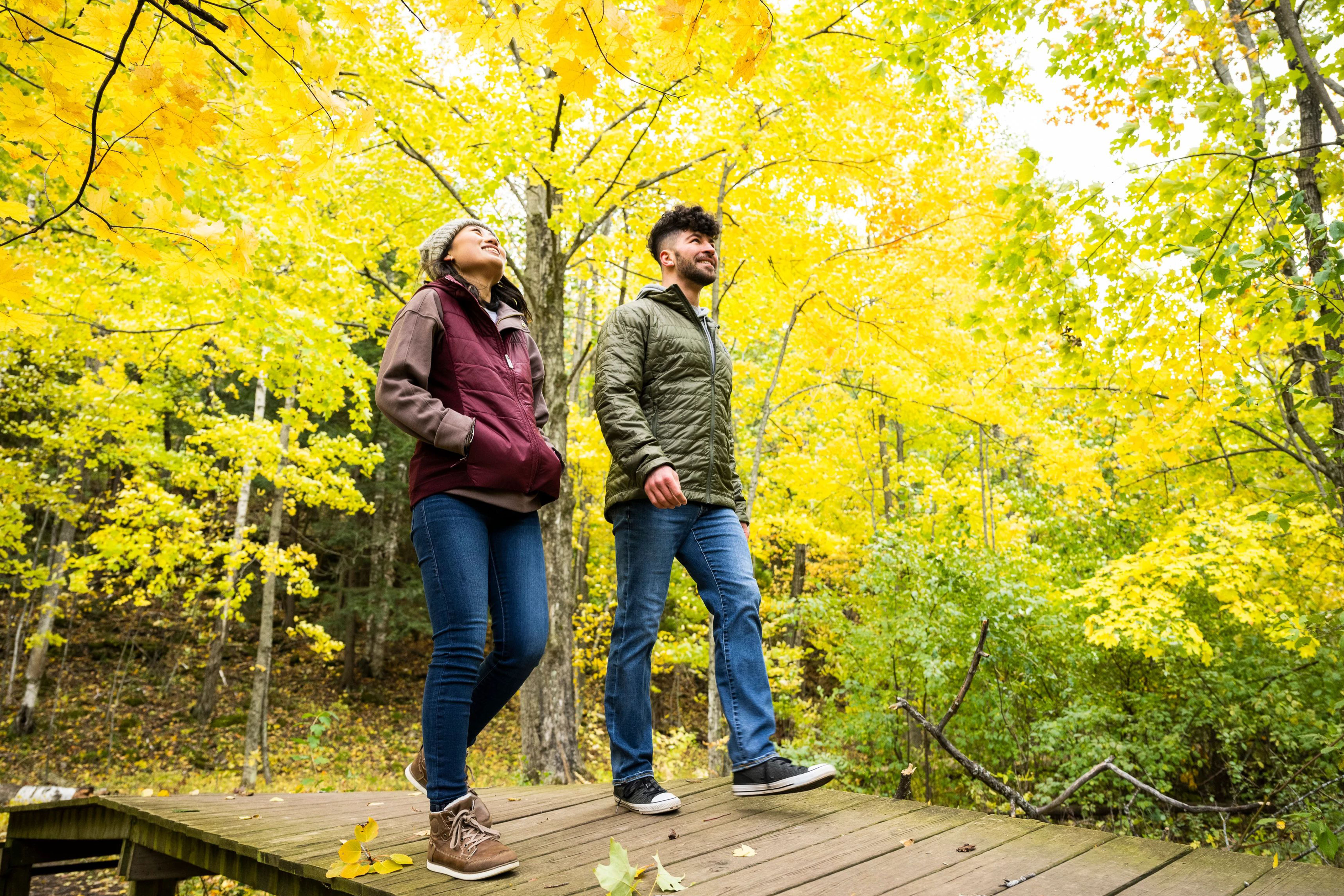 Fall hikers exploring Bay Shore Blufflands Nature Preserve.