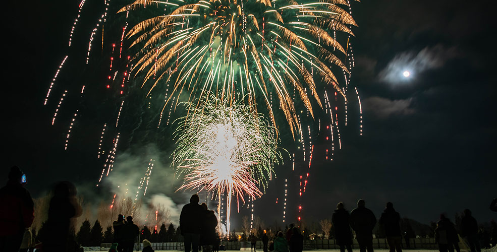 Silhouettes of people watching fireworks in the sky. 