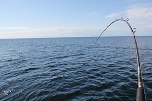 One fishing rod in a holder off of a boat.