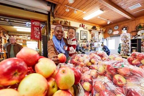 A woman with her toddler son pick out apples at a country market.