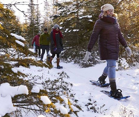 A group of snowshoers coming out of the woods in Door County, WI