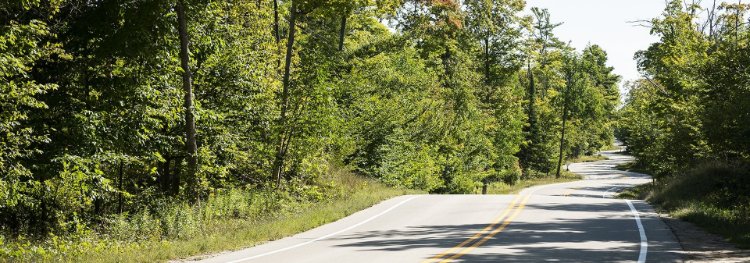 A tree-lined road.