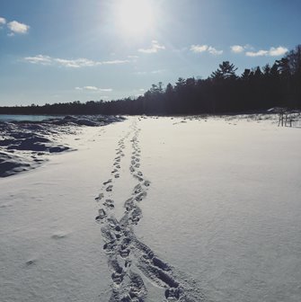 Footsteps in the snow.