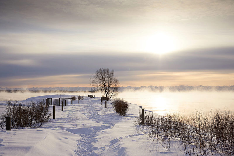 Sunrise at Anclam Park